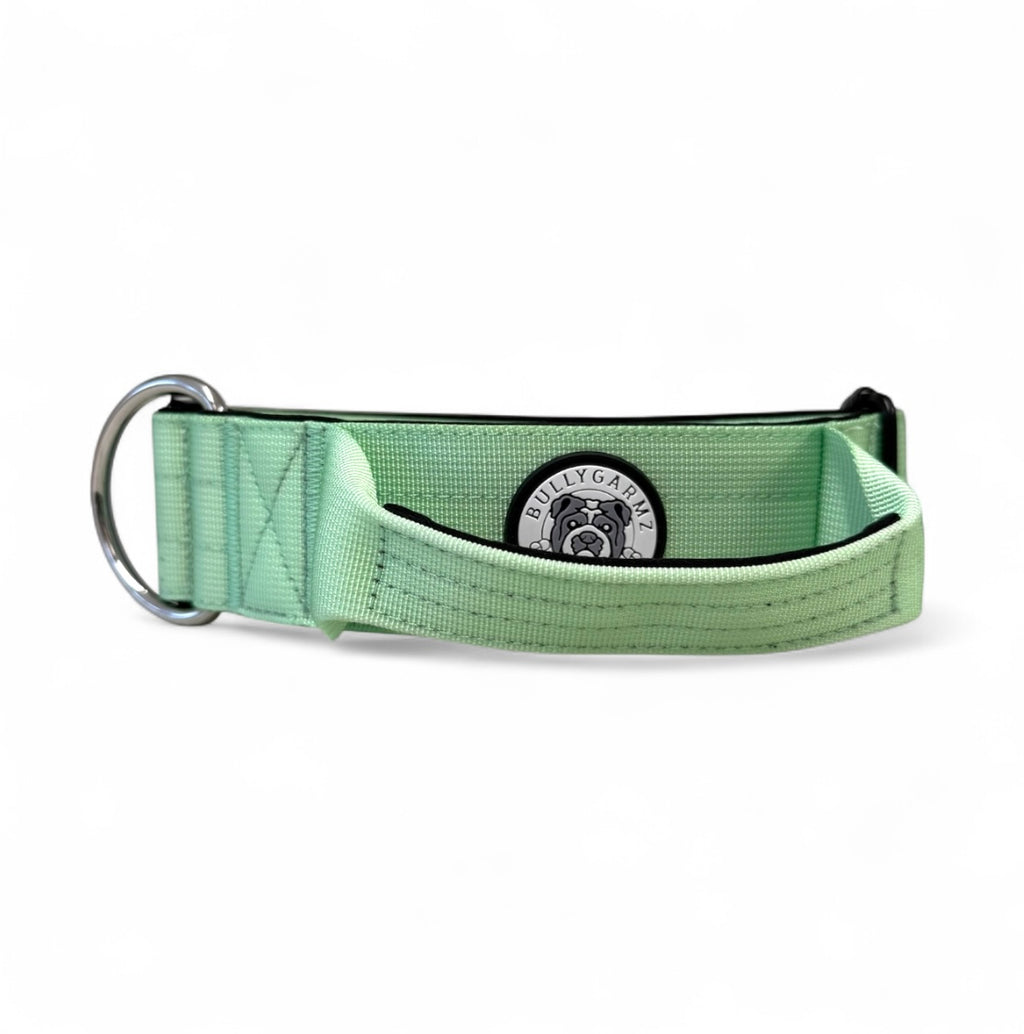 Mint Green Collar - 5cm