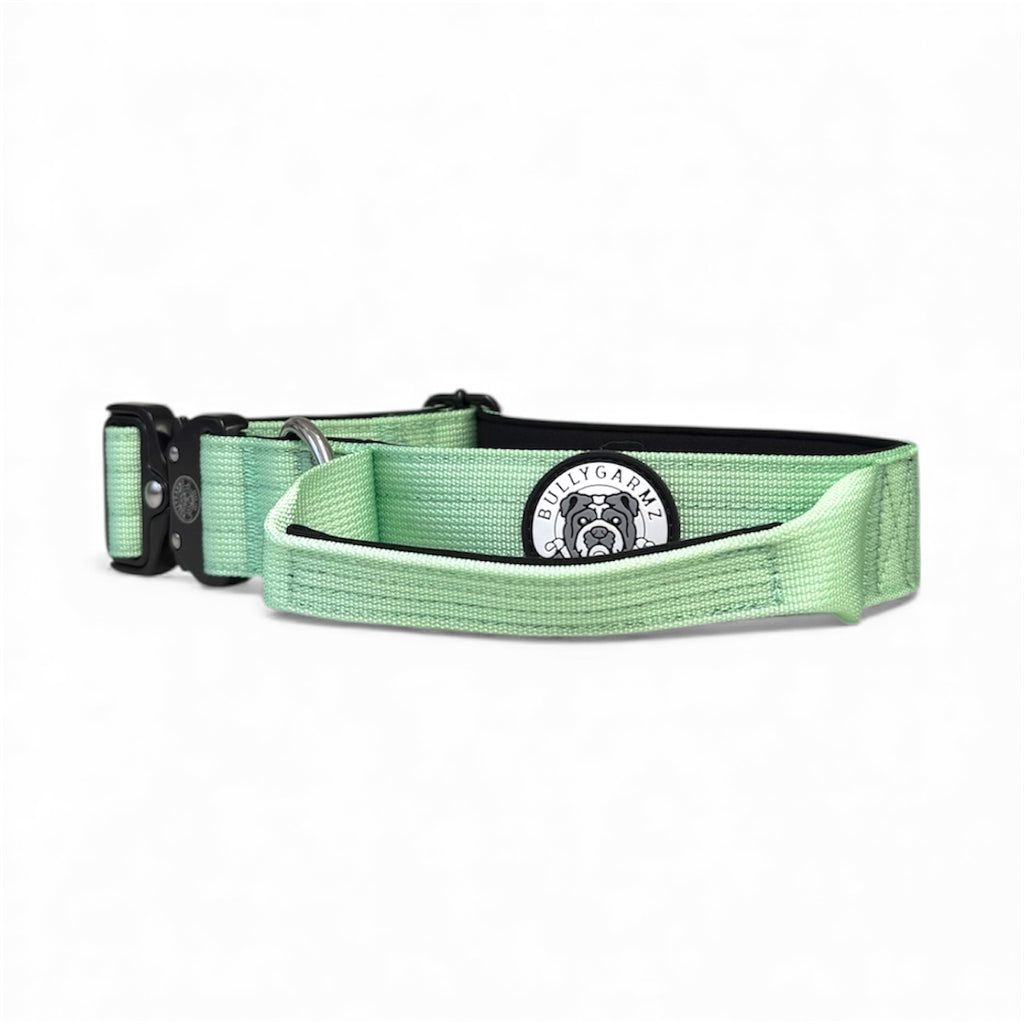 Mint Green Collar - 4cm